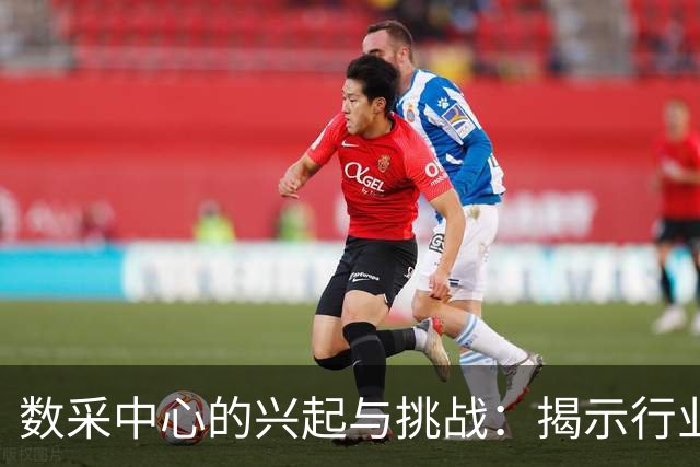 数采中心的兴起与挑战：揭示行业背后的真相
